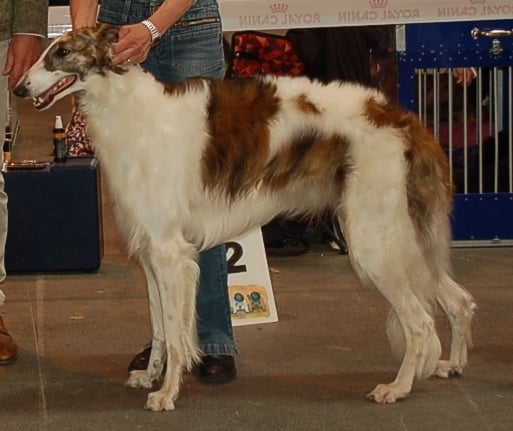 Publication : de l'hermitage d'eole 