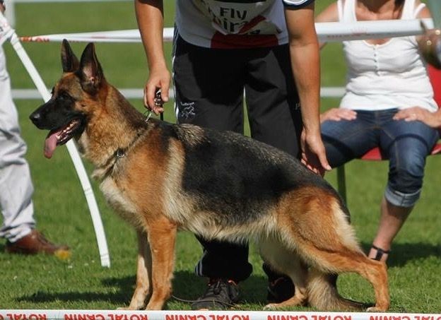 Publication : du domaine de sanctae crucis 