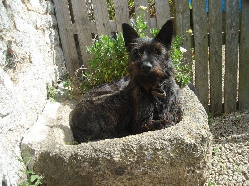 Publication : ar Diaoulou Bihan Auteur : moi