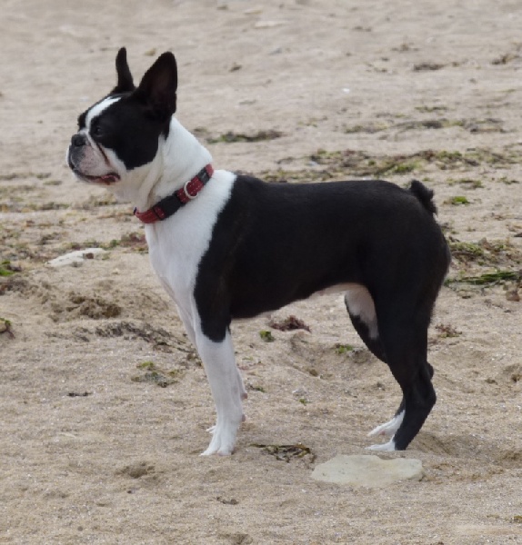 Neve campbell du Domaine Rosaris