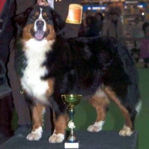 CH. Claire van pasagnan