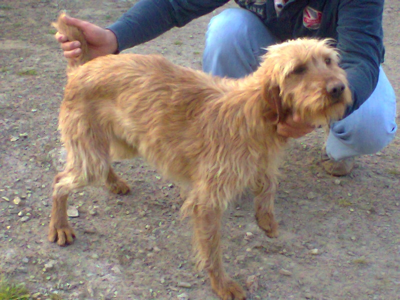 Publication : du rec de la borie 