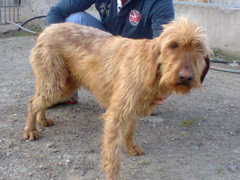 Publication : du rec de la borie 