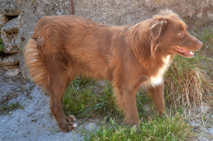  Auteur : Hélène Lamerenx