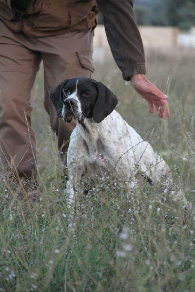 TR. H'wendy Du clos de la berruguette