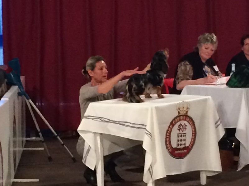 Publication : Des Diamants De Monte-Carlo Auteur : Charles Deghelt. Monaco 2014