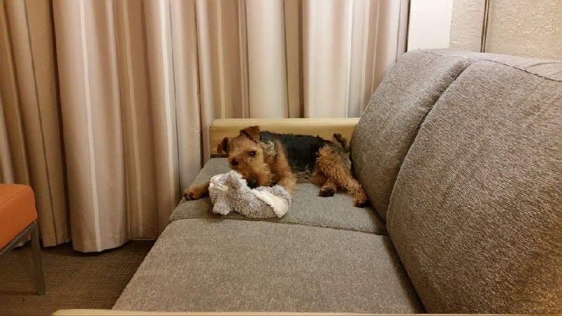 Publication : de la fontaine d'Edonis 