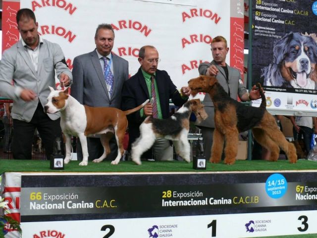 Publication : Aireniemeyer