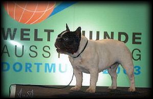 CH. smiling thunder Angel