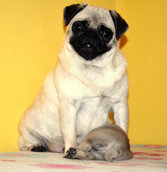 Publication : Treasure Of Varga 