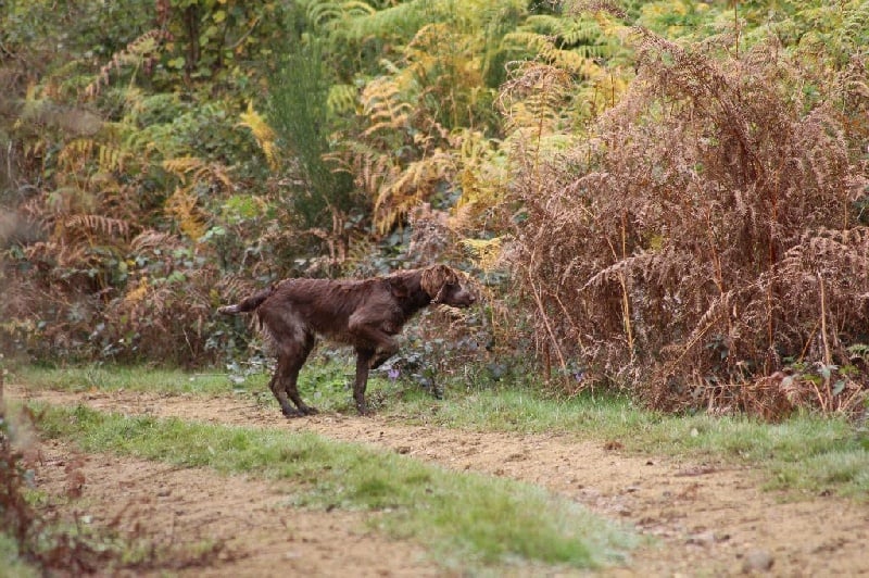 Publication : des coteaux de Yannijean Auteur : vidal j-philippe