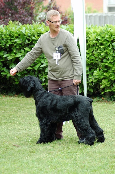 Publication : de love and black