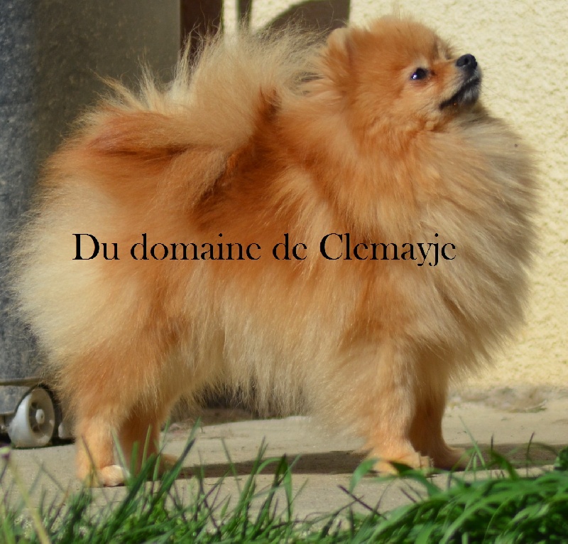 Publication : Du Domaine De Clemayje 
