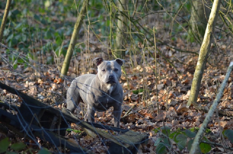 Publication : Of Christal Heart'S