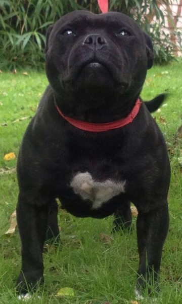 Publication : Of Christal Heart'S