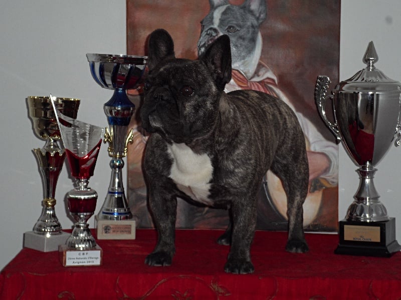 Publication : Du Domaine Des Fans Auteur : Domaine des fans