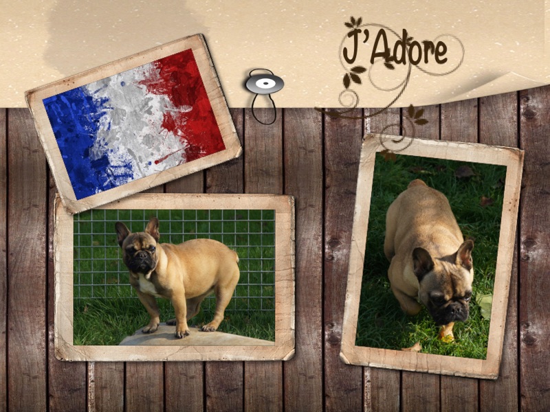  Auteur : Pascale Cambier du Middel Weg