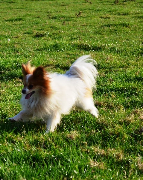 Publication : Des Sources De La Liane 