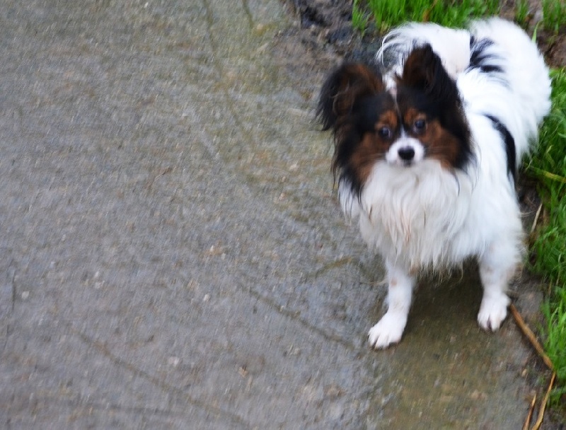 Publication : Des Sources De La Liane 