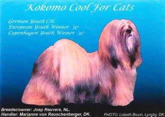CH. kokomo Cool for cat's