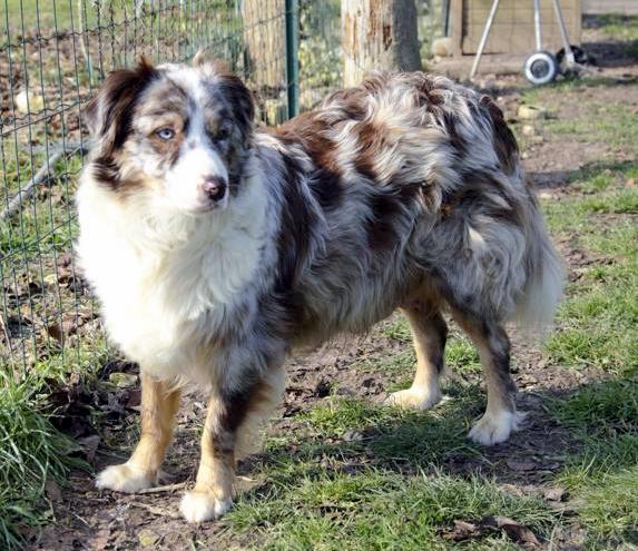 Publication : Lois' Dreams