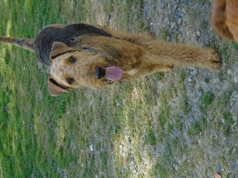 Publication : Larrekia 