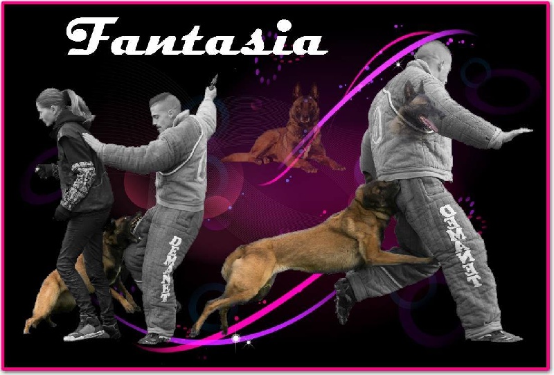 Fantasia (Sans Affixe)