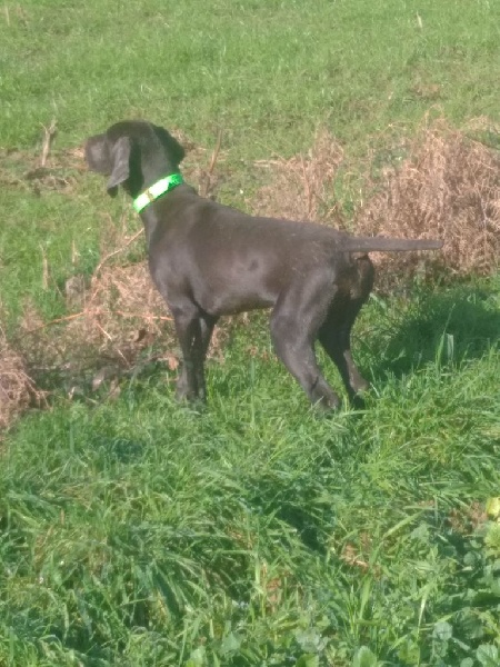 Publication : De La Plaine De Chaouia Auteur : DE LA PLAINE DE CHAOUIA