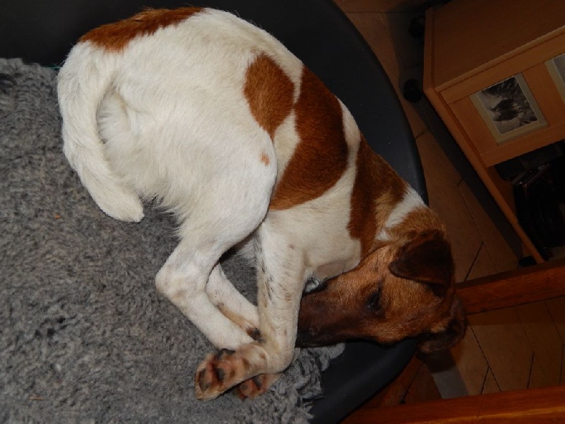 Publication : de la Cascade des Fayes 