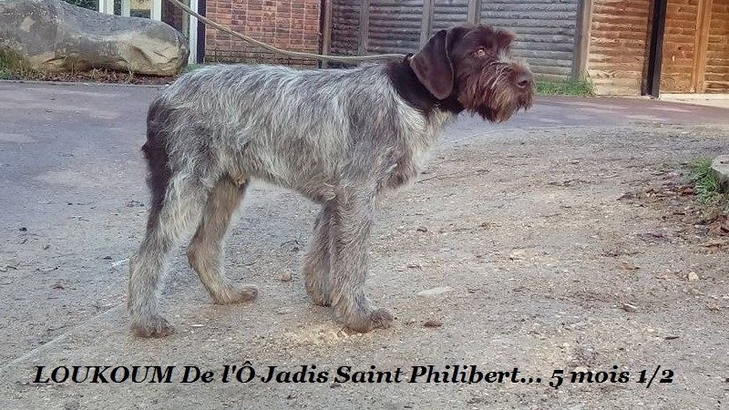 Publication : de l'Ô jadis Saint Philibert