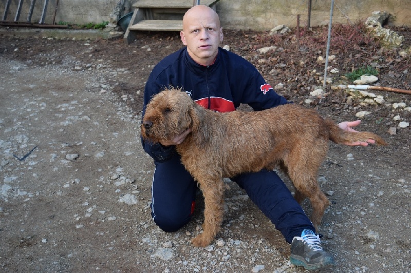 Publication : du rallye du pays cathare 