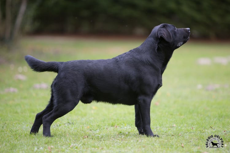 Just take me of misty dreams