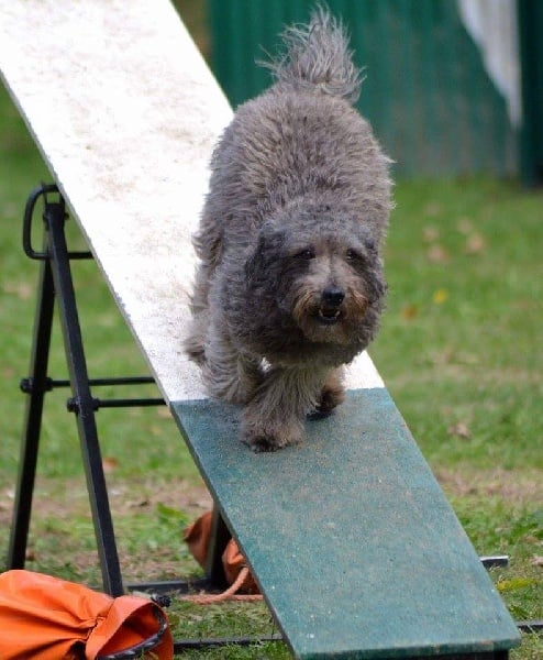 Publication : De La Chibotte D'Itack