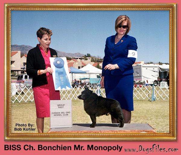 CH. bonchien Mr monopoly