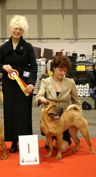 CH. layang's Heart of darkness at fullofire