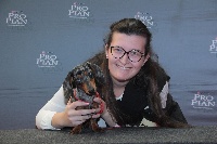 Étalon Teckel poil ras - CH. Amelie azzurra (Sans Affixe)