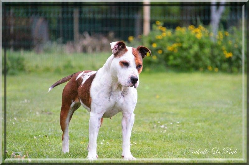 Publication : Des jardins de margaux Auteur : Jardins De Margaux