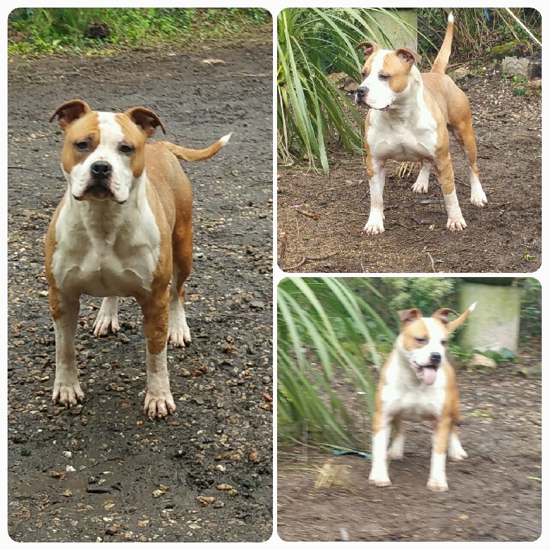 Publication : Of Heart Eaters