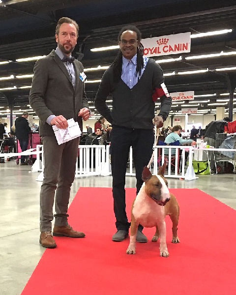 Publication : Bullimpact Auteur : Sylvain ROUSSE