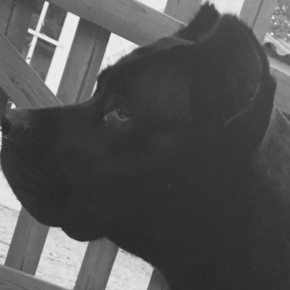 Soulo au moundo lou gdp