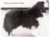 Skerrywood Suede in black