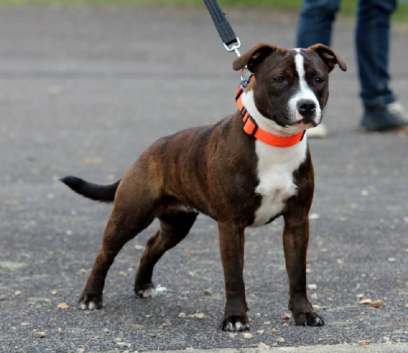 I know you want it du temple de Gaïa