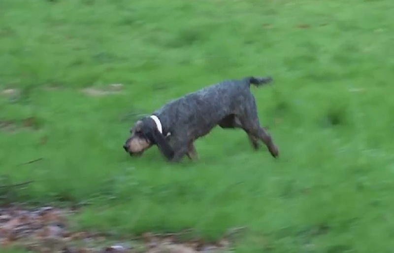 Berlingot des gorges de la nesque