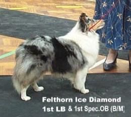 Felthorn Ice diamond