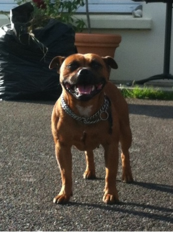 De Contagious Magic Hurricaine velvet