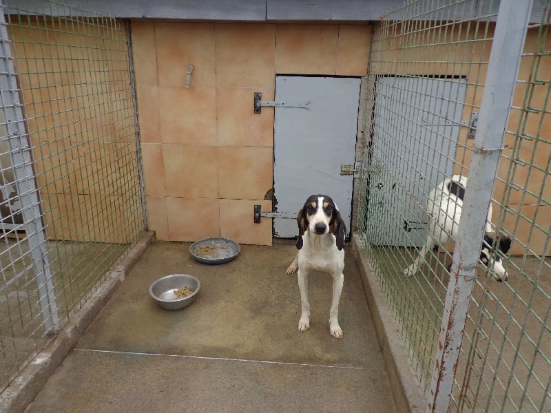 Publication : des pentes du Soularac 