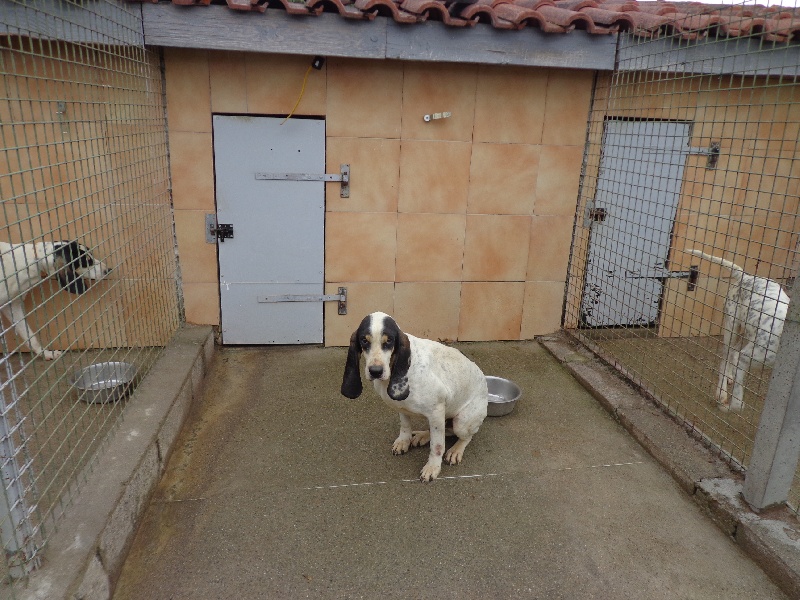 Publication : des pentes du Soularac 