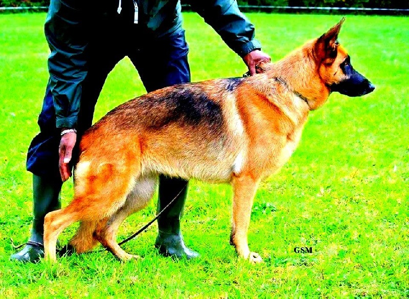 Publication : de la Huche Normande 