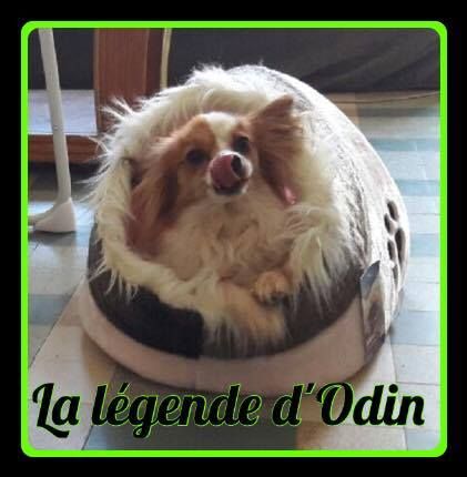 Publication : De La Légende D'odin
