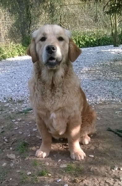 Publication : du Domaine D'Eily 